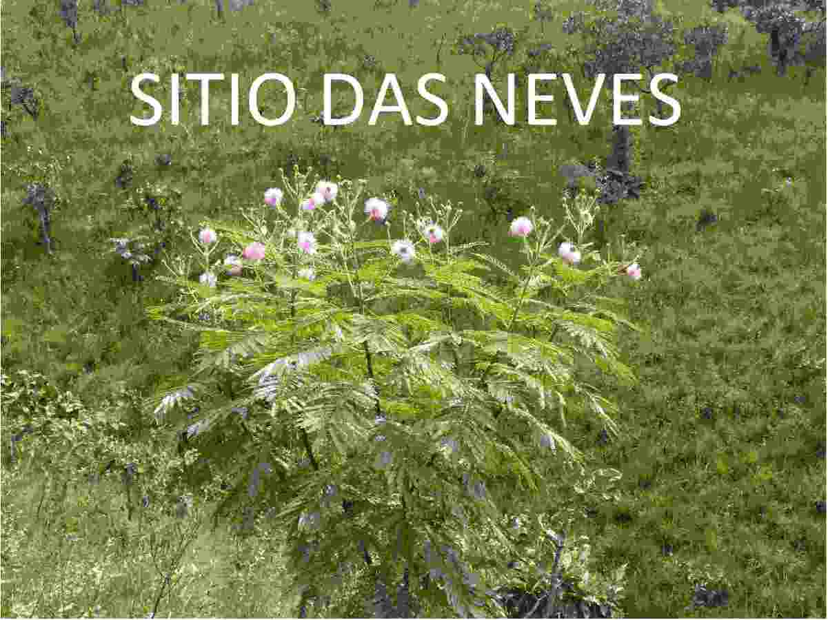 Sítio das Neves