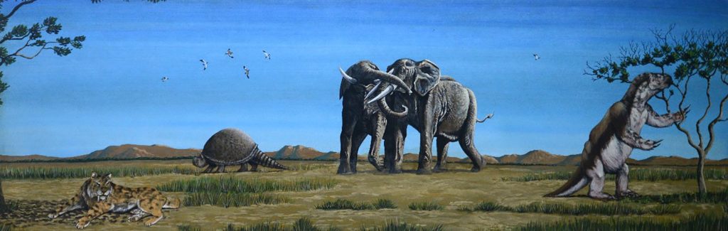 Os animais chamam atenção pelas grandes proporções — Foto: Ilustração: Ariel Milani Martine/Museu Joias da Natureza