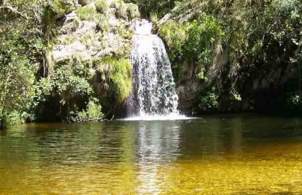 Poço das Orquídeas, Minas Gerais 
