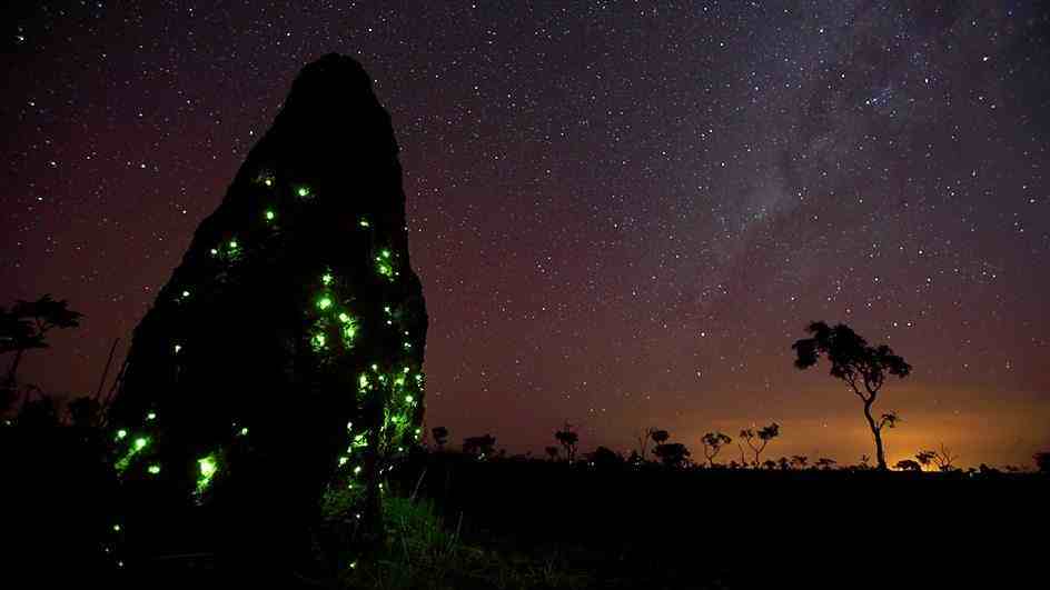 Parque Nacional das Emas