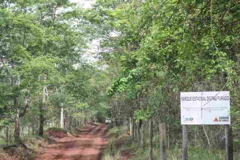 Parque Estadual do Pau Furado 