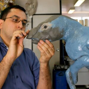 taxidermia_Cesar_Leao (30)