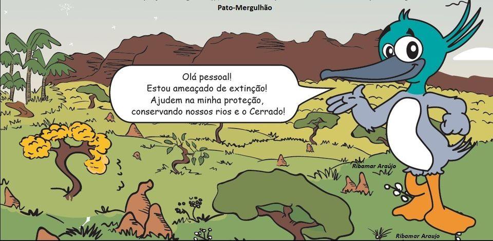 Pato-mergulhão Alto Paranaíba