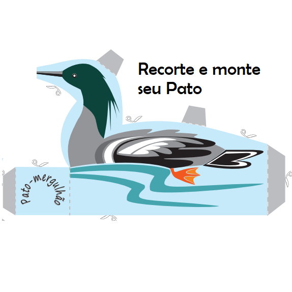 Pato-mergulhão Alto Paranaíba