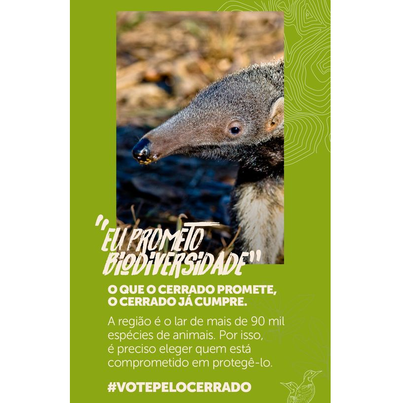 #VotePeloCerrado
