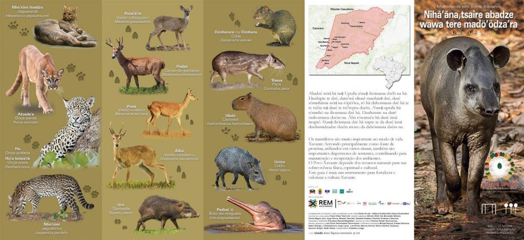 2022-11-24_noticias-guia-xavante-mamiferos