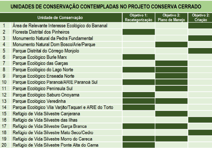 📌Vespas-caçadoras🕷️ . As - Projeto ConserVamos Cerrado