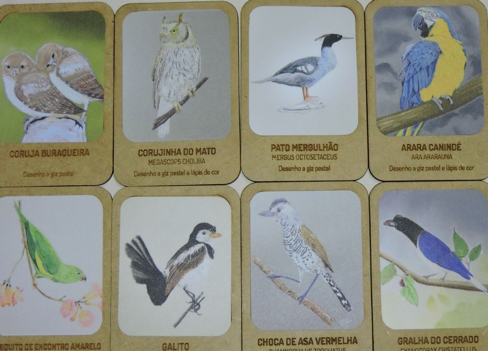 Jogo dos Biomas Gastronômicos - Museu do Cerrado