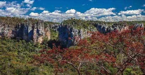 Biodiversidade do Parque Estadual de Sete Salões