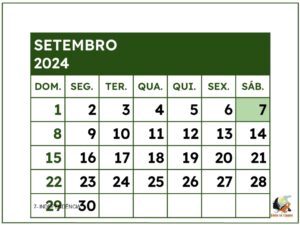 Calendario 2024 - museu do cerrado (15)