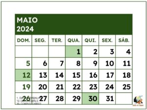 Calendario 2024 - museu do cerrado (24)