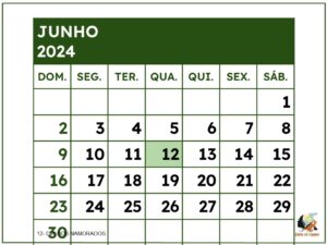 Calendario 2024 - museu do cerrado (26)