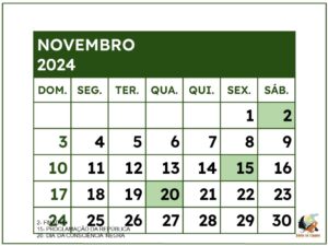 Calendario 2024 - museu do cerrado (6)