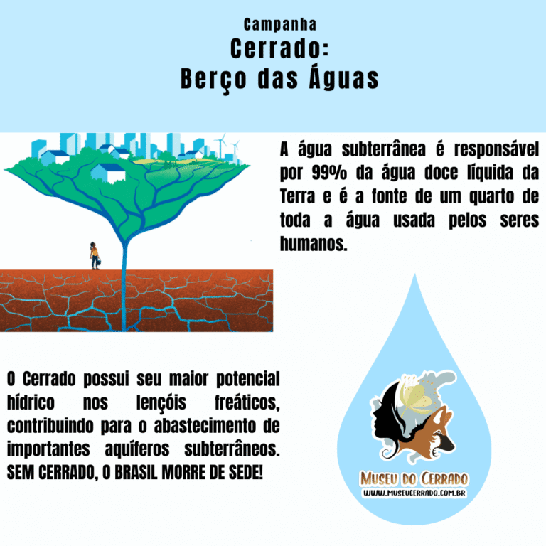 A água subterrânea