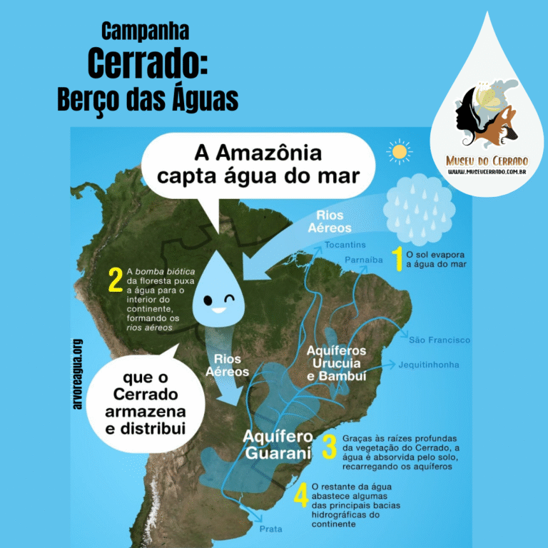 A amazônia capta a água do mar e o Cerrado armazena e distribui
