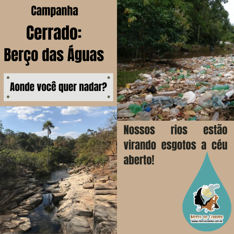 Aonde você quer nadar