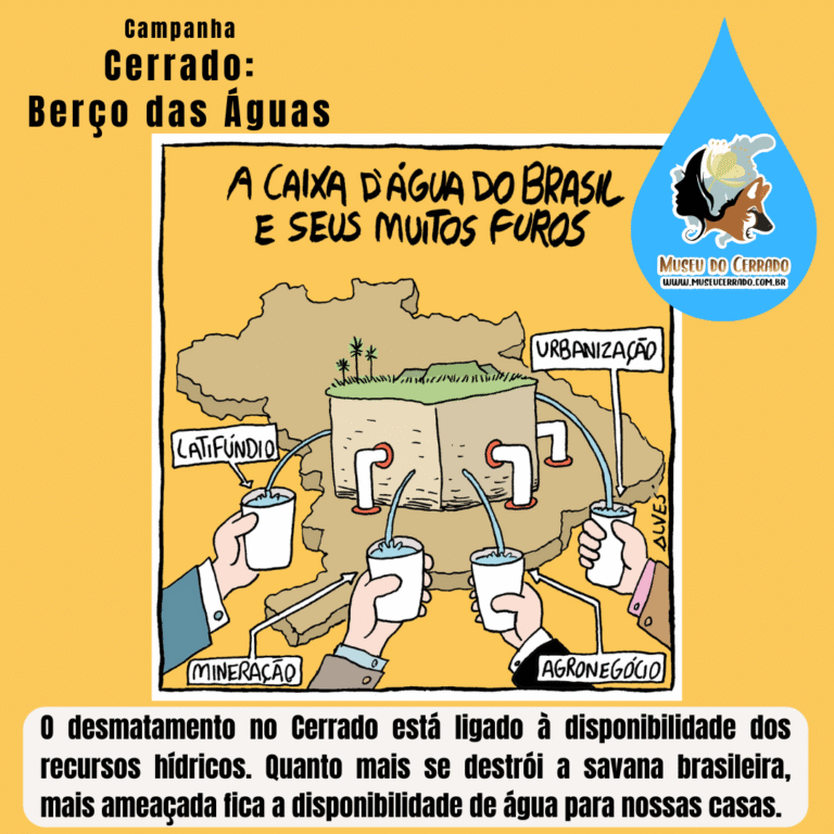 Caixa d'água do Brasil e seus muitos furos