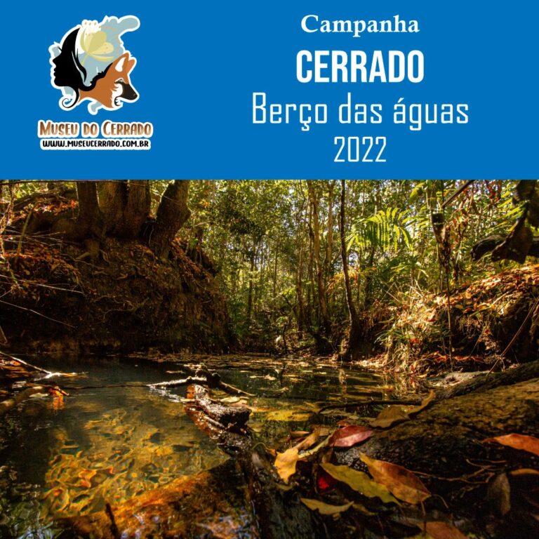 Campanha Cerrado Berço das Águas 2022