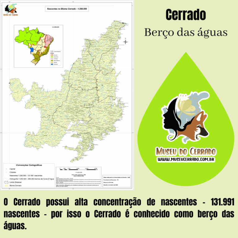 Campanha Cerrado Berço das águas 1