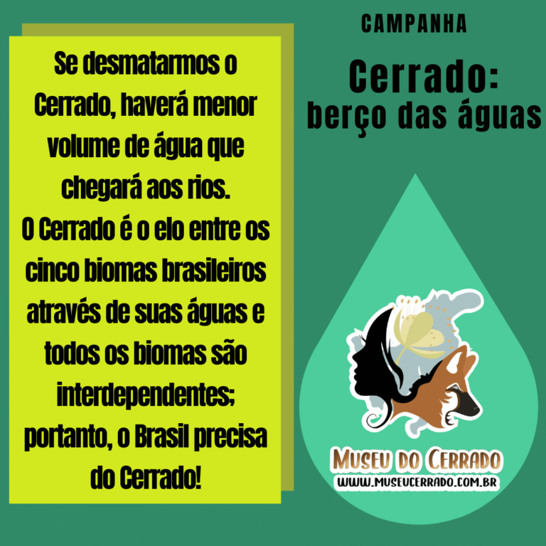 Campanha Cerrado Berço das águas 3