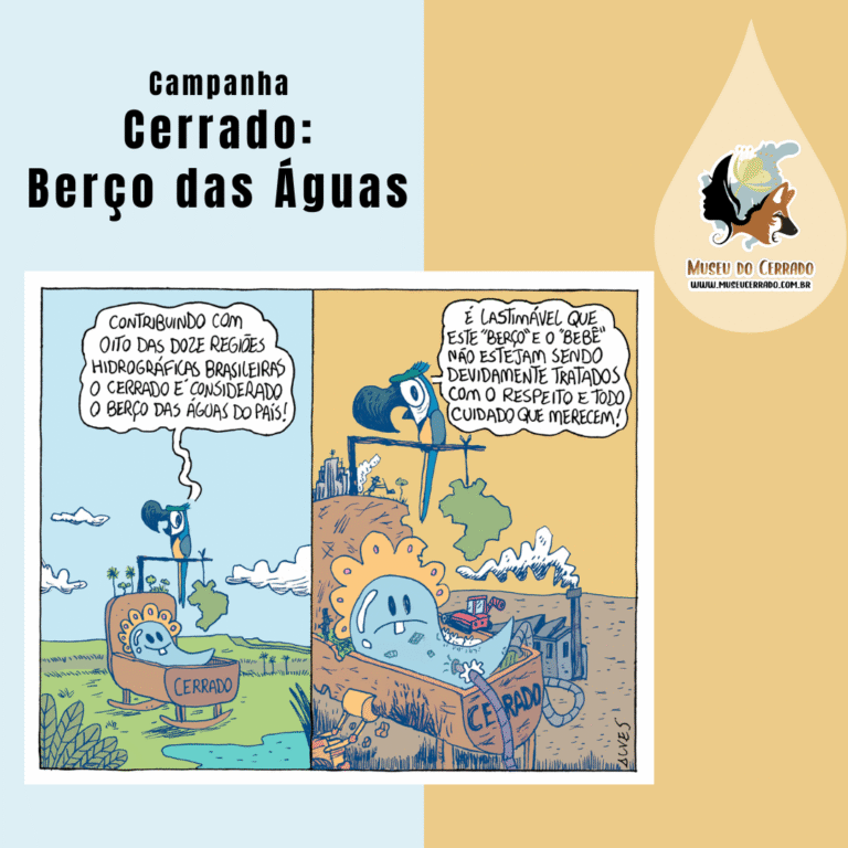 O Cerrado é o berço das águas do país