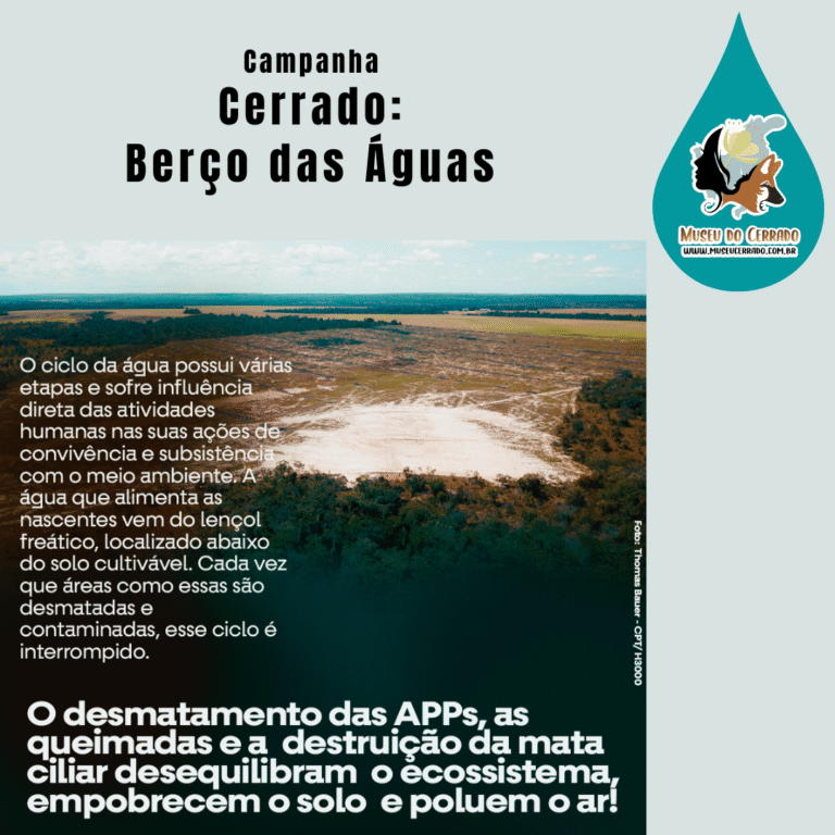 O desmatamento das APPs desequilibram o ecossistema