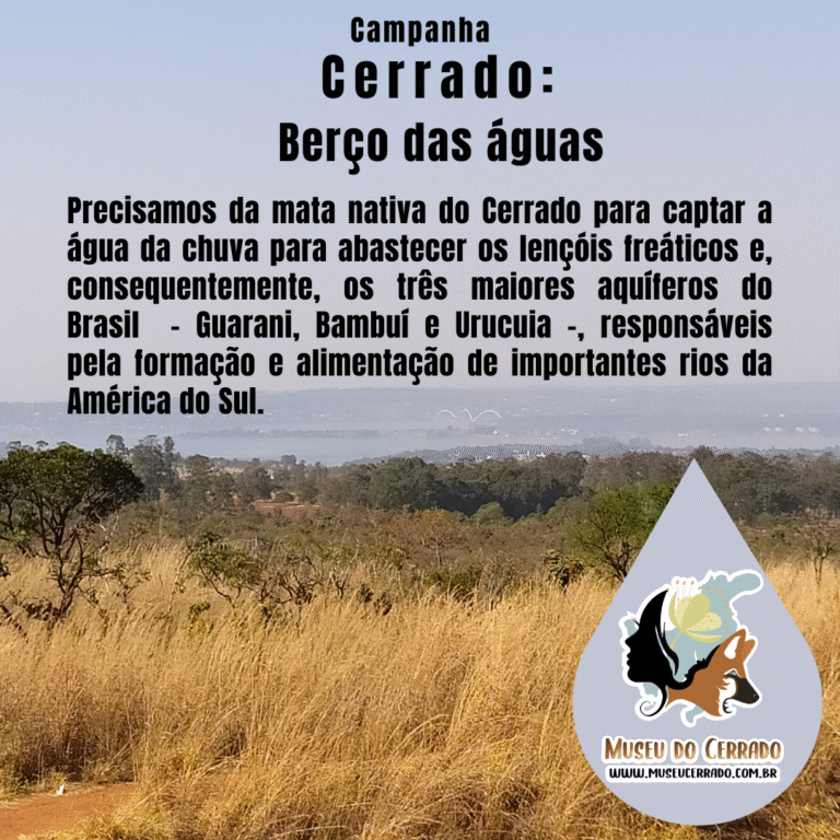 Precisamos de mata nativa do Cerrado