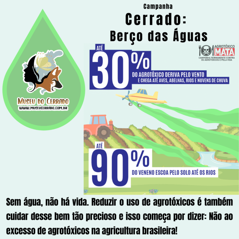 Sem água, não há vida