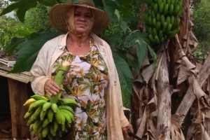 2021_05_31_agrobiodiversidade_agroecologia_maria_ivanilde_idenficacao