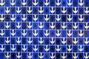 2021_06_17_educação-ambiental_turismo-ecologico-galeria-visite_brasilia