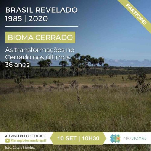 2021_09_09_Notícia_Webinar-Brasil-Revelado-1985-2020-As-transformações-no-Cerrado 2021_09_09_Notícia_Webinar-Brasil-Revelado-1985-2020-As-transformações-no-Cerrado