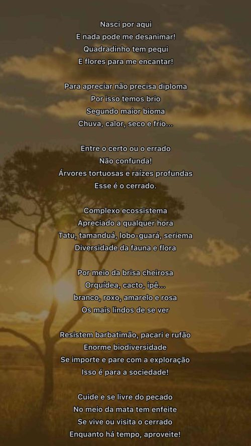 2021_09_10_Homepage_Declarações-de-amor-ao-cerrado_Nasci-por-aqui