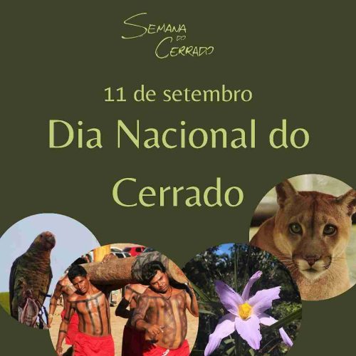 2021_09_14_Notícia_Semana-do-cerrado_capa