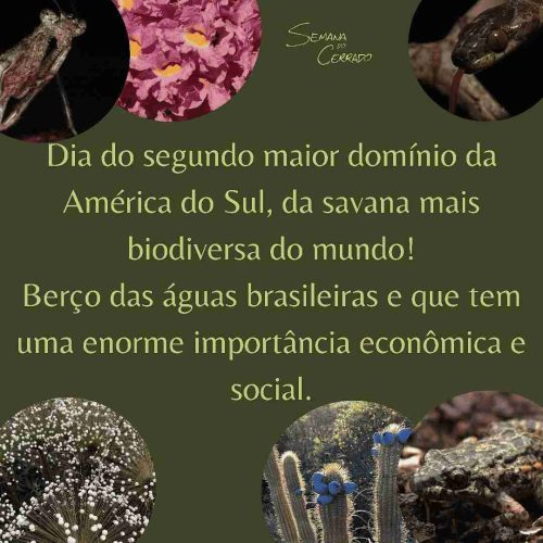2021_09_14_Notícia_Semana-do-cerrado_img1