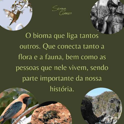 2021_09_14_Notícia_Semana-do-cerrado_img2