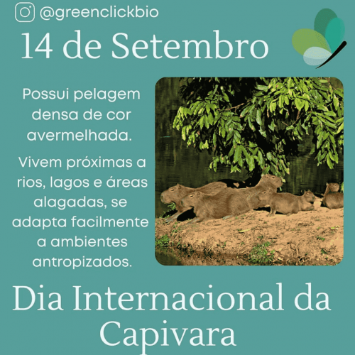 2021_09_15_Notícia_Dia-internacional-da-capivara_02-min