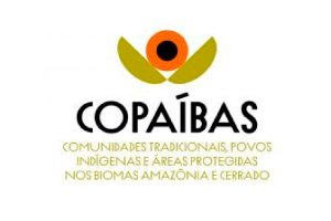 2022_01_29_Ações_Projetos_Programa-Copaíbas_capa