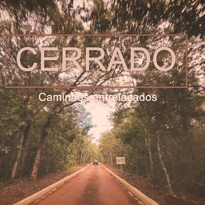 CerradoCaminhosEntrelaçados