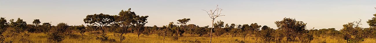 fundo_terra fundo_terra