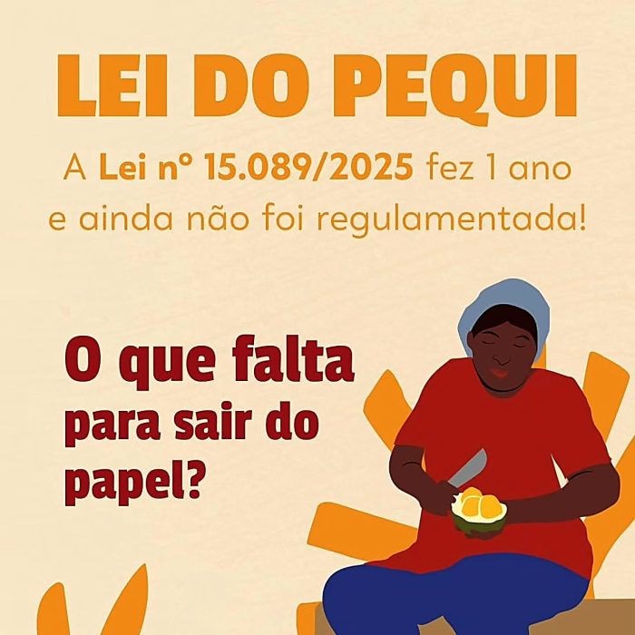 lei_pequi_nitida_otimizada