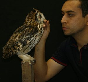 taxidermia_Cesar_Leao (9) taxidermia_Cesar_Leao (9)